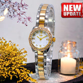 DIOR BRASS CHAIN BRASS CAES